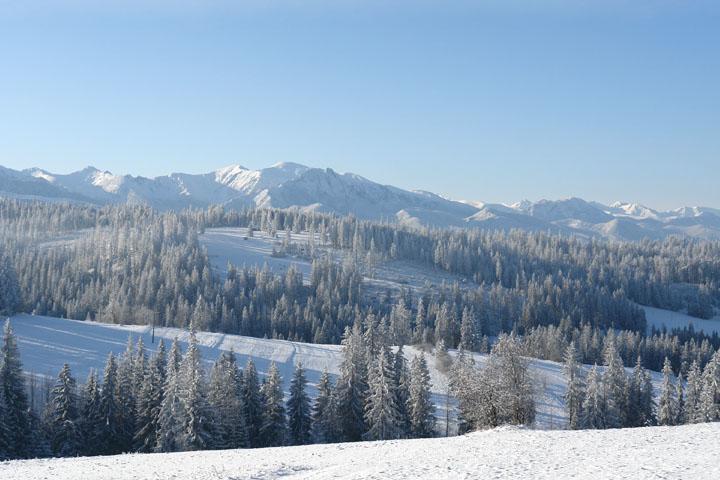 Pokoje Goscinne U Zofii Bukowina Tatrzanska Bagian luar foto